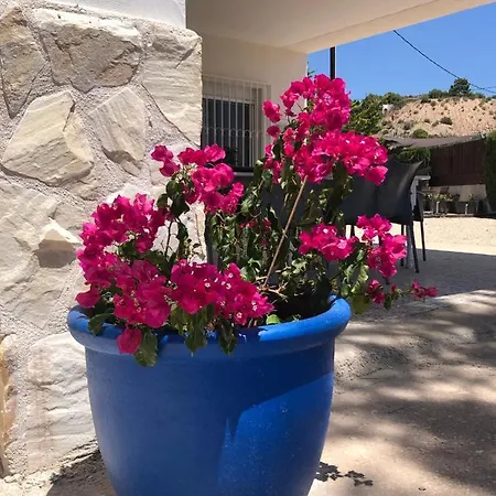 Casa Sofia In *